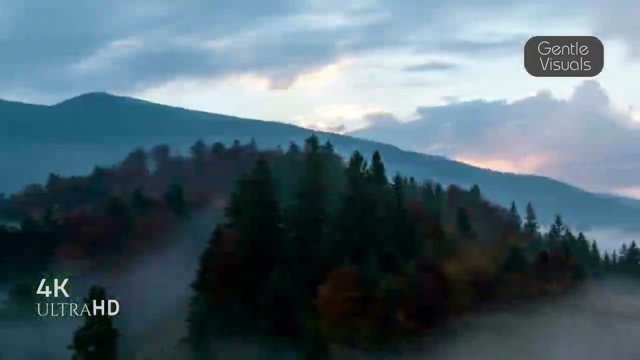 Relaxing Forest Walk – Beautiful Nature Sounds in the Woods #Nature #ForestWalk #BeautifulNature