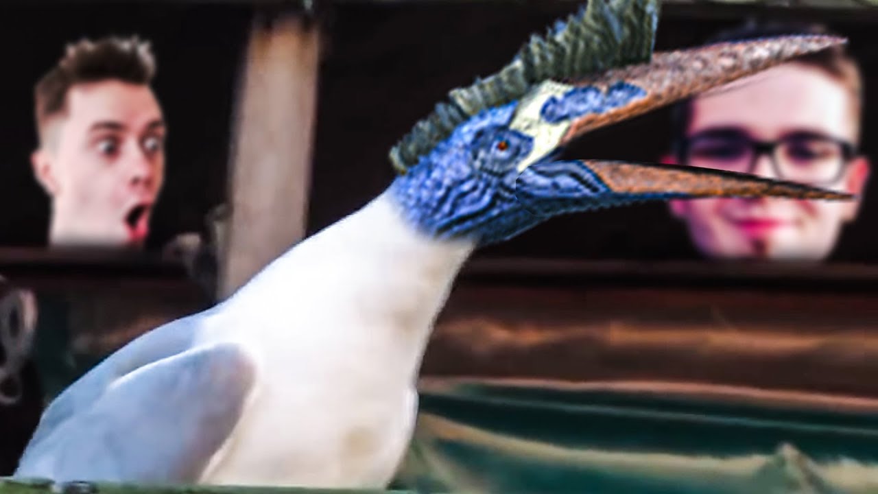 *INHALES* - Ark: Survival Evolved w/Wedry