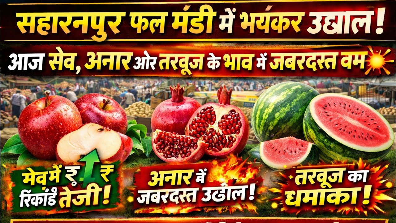 सहारनपुर फल मंडी आज का ताजा भाव 🍎🍉 | Apple Anar Watermelon Price Today