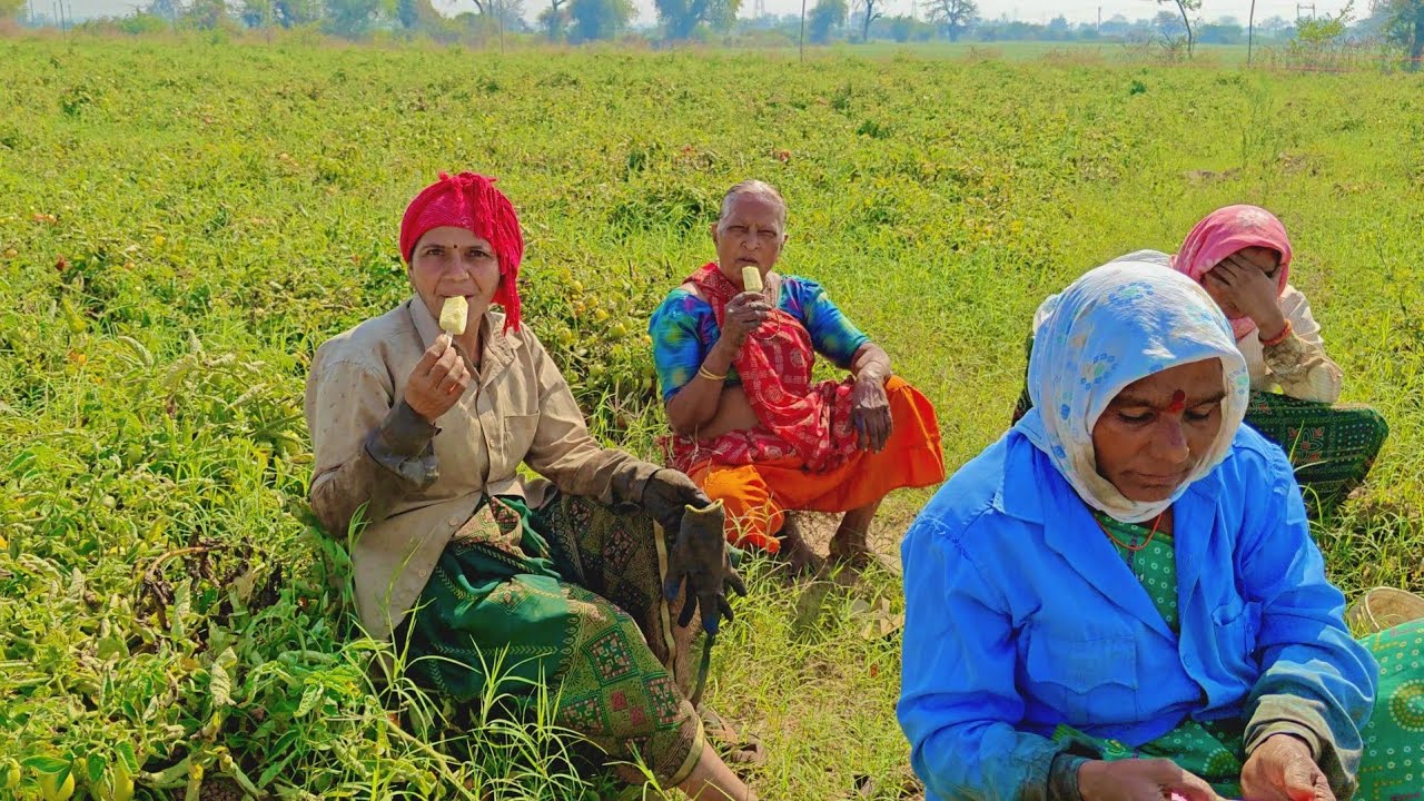 🥳महाशिवरात्रि की खुशियां🥳Celebrations of Mahashivratri🥳#best #vlog #farmlife #farming #farmer 