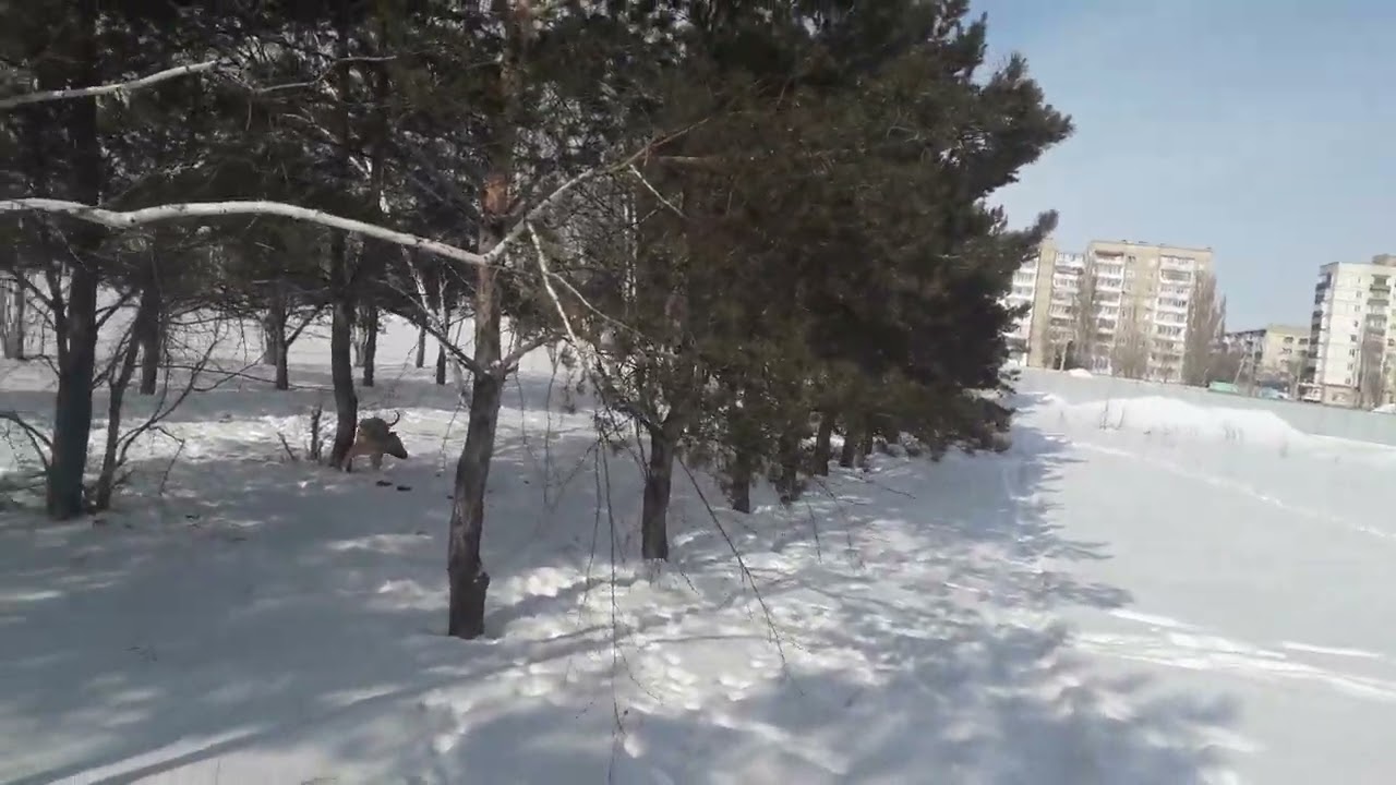 Первый весенний день