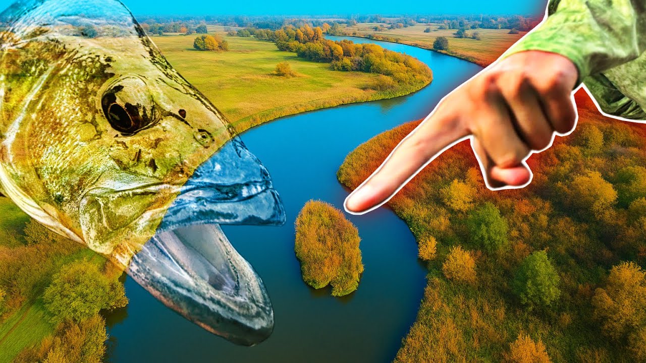 GDZIE SZUKAĆ OKONI W RZECE? [JESIEŃ]