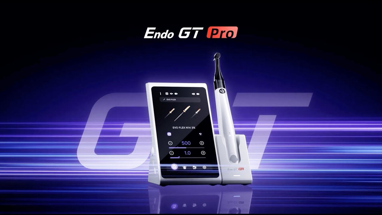 Woodpecker Endo Motor GT Series