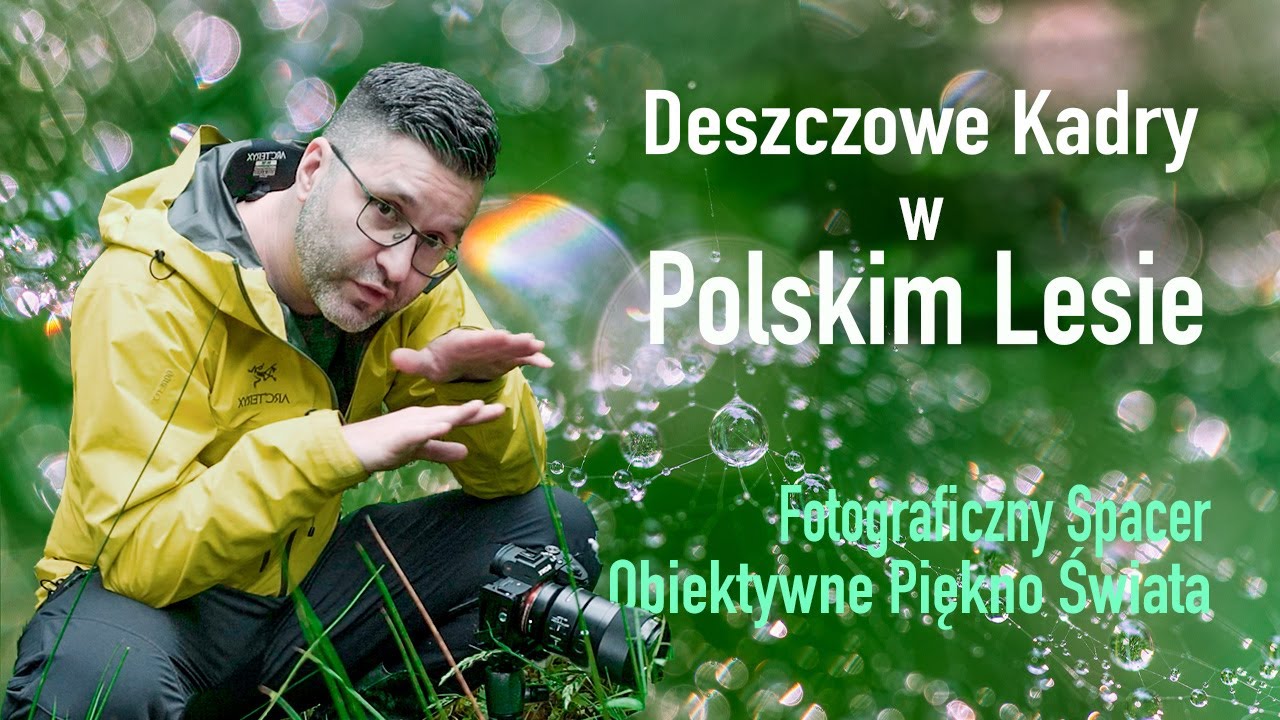 Deszczowe Kadry w Polskim Lesie - Fotograficzny Spacer