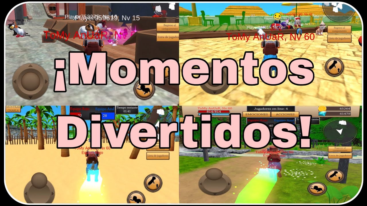 ¡Momentos divertidos en CSAL! | Cat simulator - Animal life | Parte 12