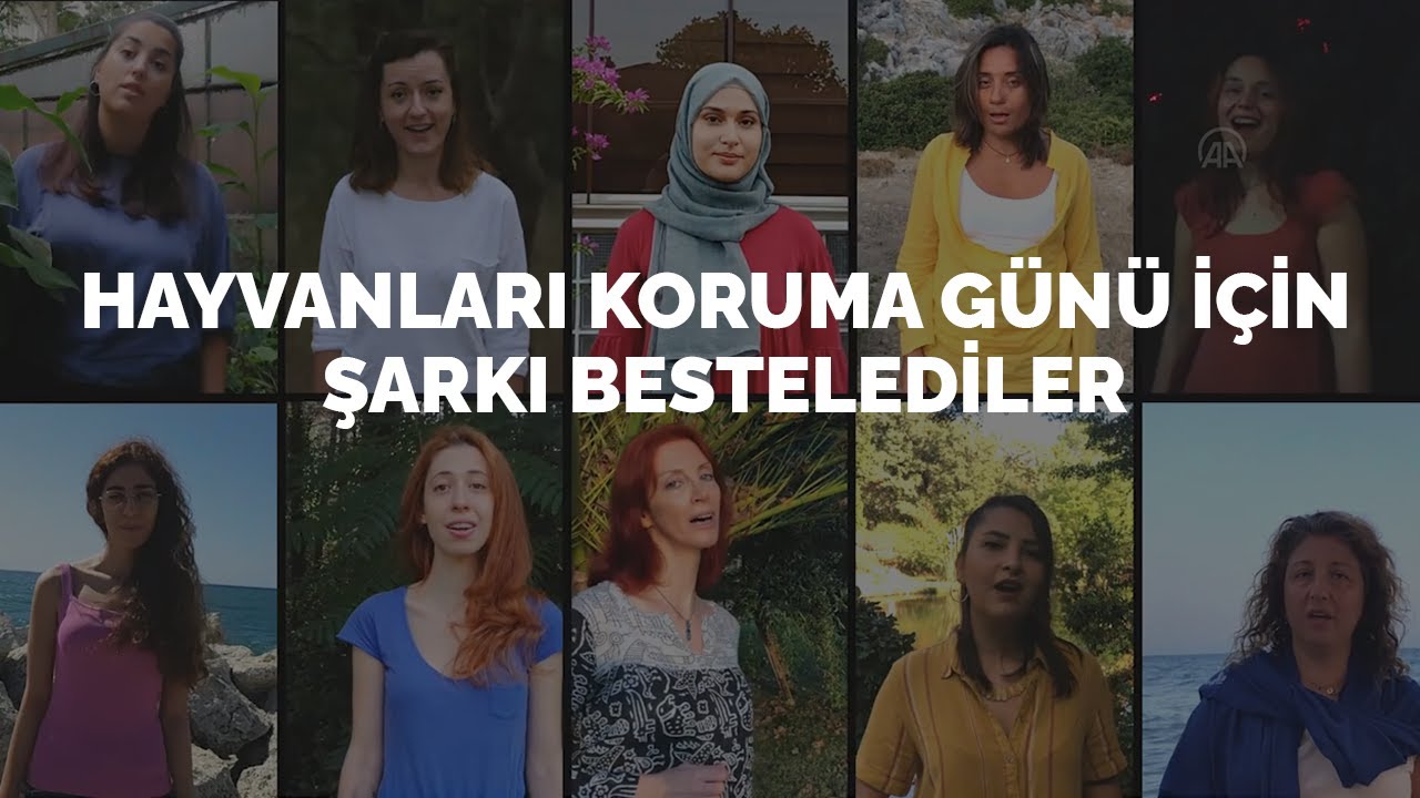 Veterinerler ve müzisyenler Dünya Hayvanları Koruma Günü için şarkı besteledi