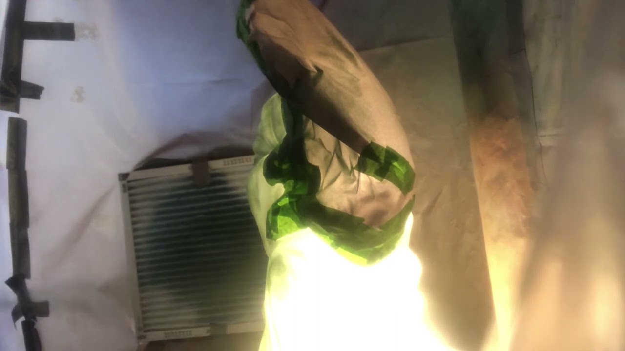 Painting a shepherd blow mold