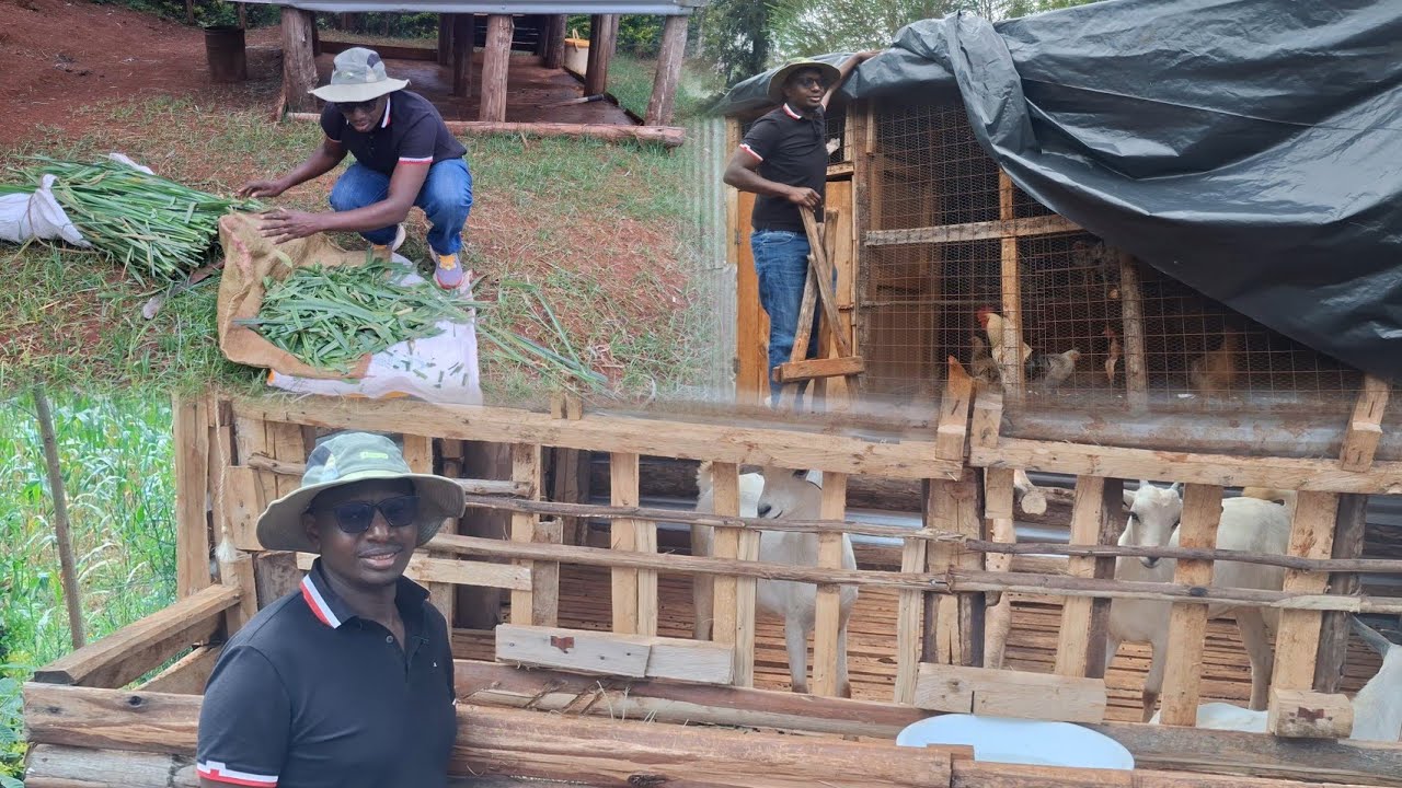 What It REALLY Takes: A Day on a Thriving Self-Sufficiency Farm!