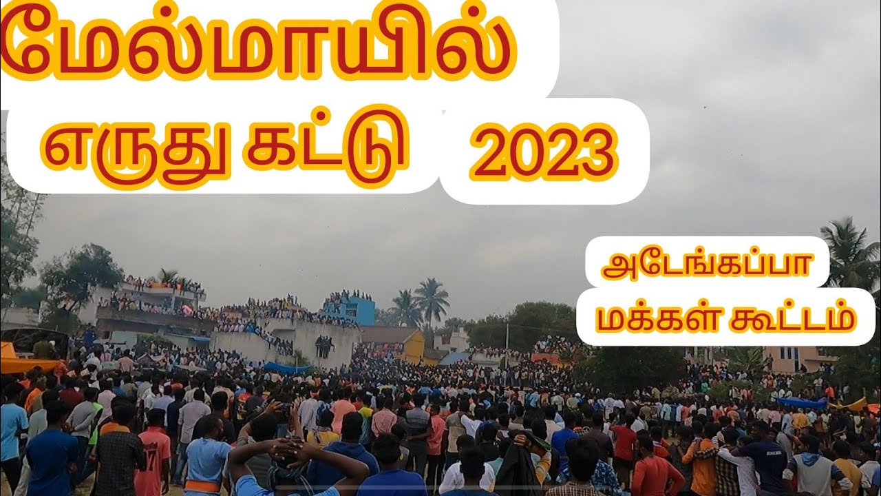 மேல்மாயில் எருது கட்டு 2023 melmoil eruthukattu 2023 வேலூர் மாவட்டம்