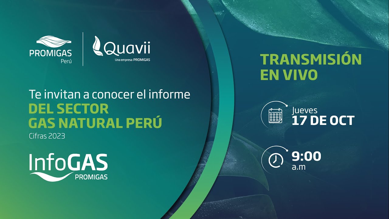 Informe del Sector Gas Natural - InfoGas Perú 2024