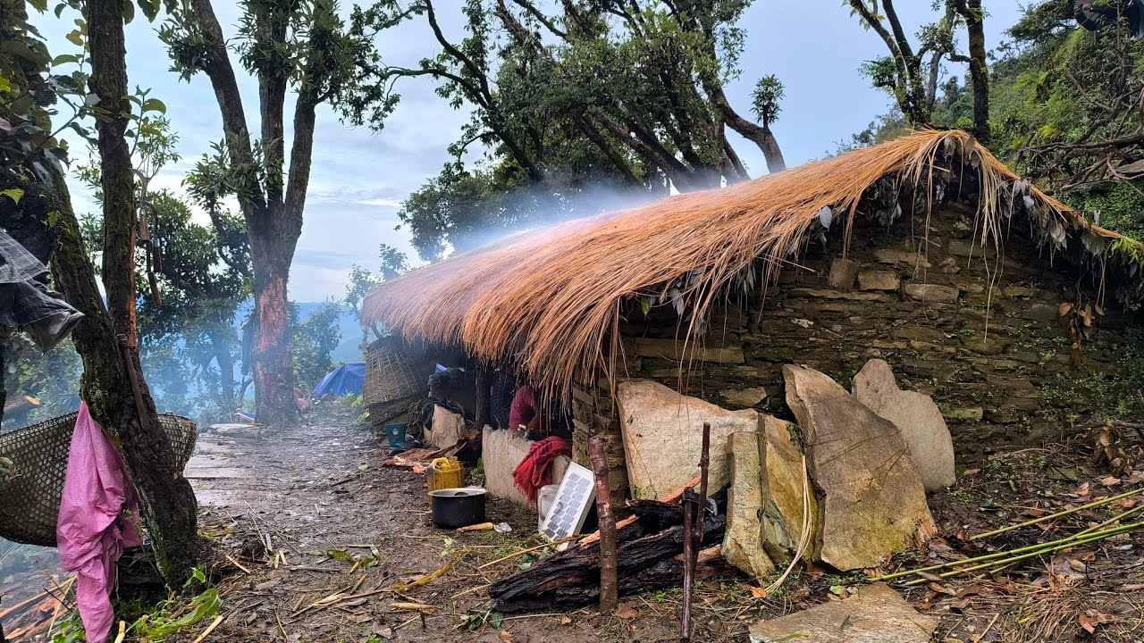 Surviving Sheepherd Life In The One Of The Coldest Regions Of NepalA Rainyday Freezing Winter Mornin
