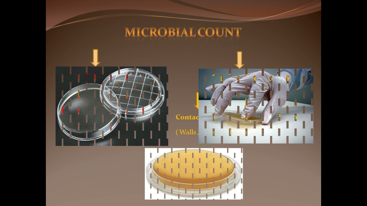 Microbiological Environment Monitoring in Pharmaceutical Industry