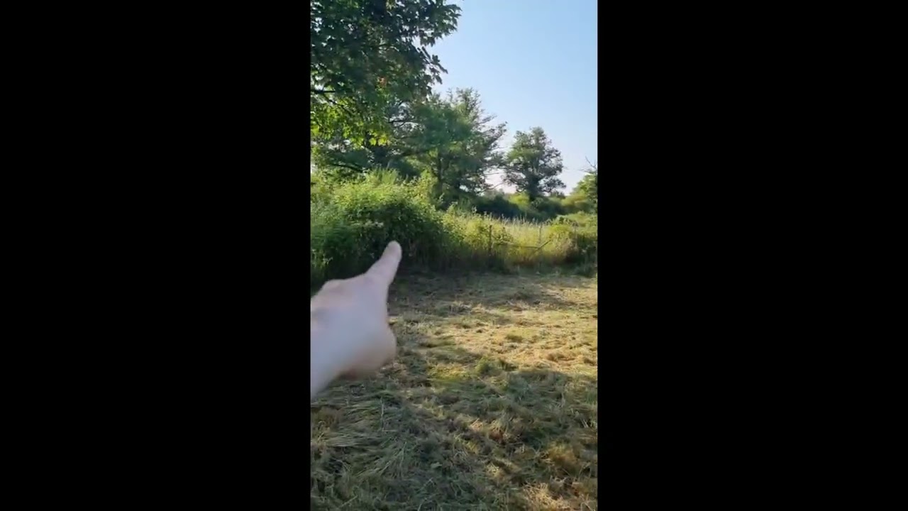 Vlog13 grasmaaier en schilderwerk