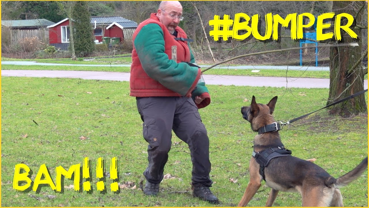 Bumper BAM, klemvast!!!