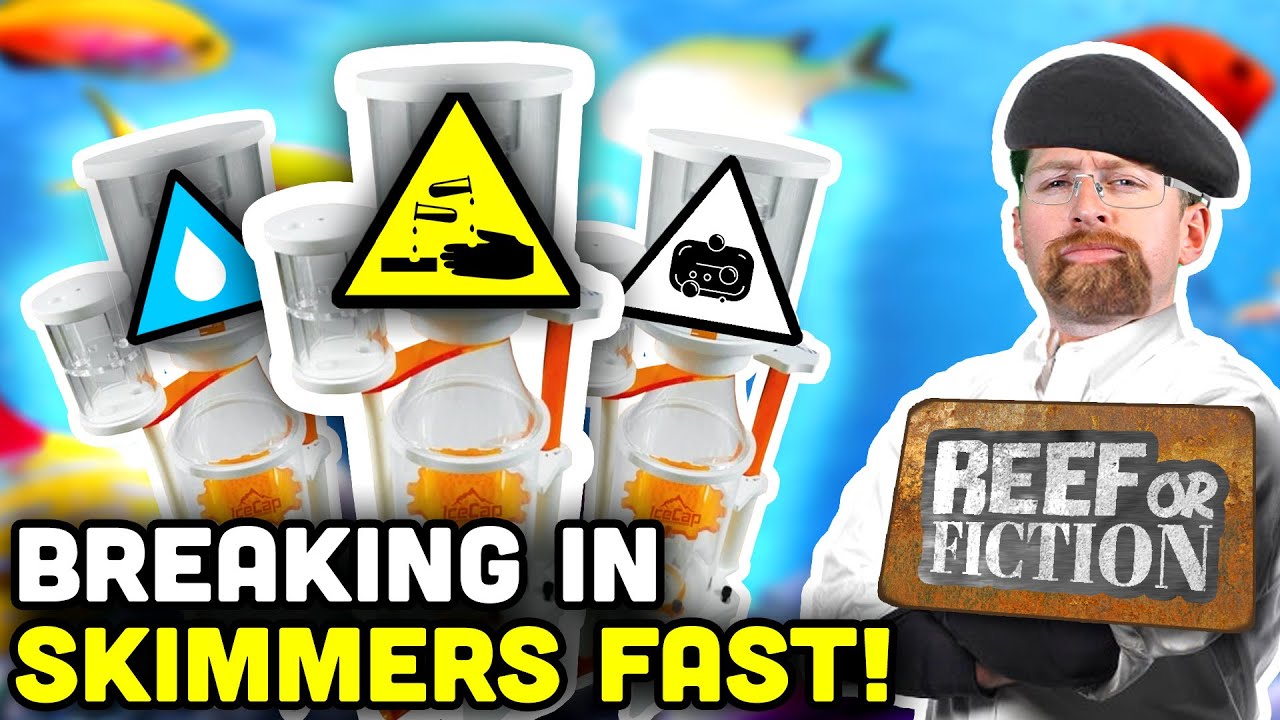 Can You Break-In Your New Skimmer FASTER? Reef or Fiction!