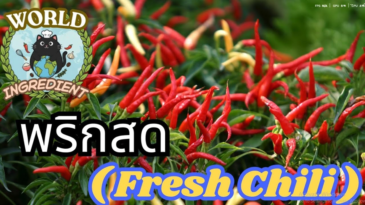 พริกสด ( Fresh Chili ) | World Ingredient Library - ห้องสมุดวัตถุดิบรอบโลก