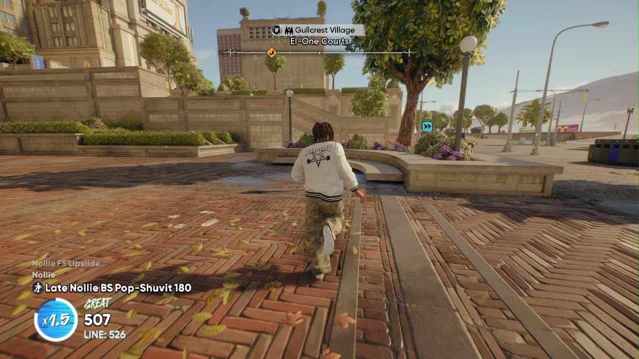 skate Skating Shiiii