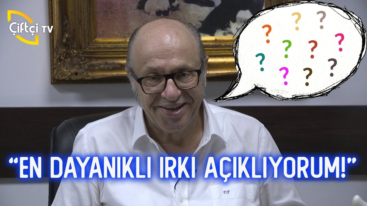 Büyükbaşlarda Düşük Ateş/Pedigri Sistem/Meme İltihabı - 