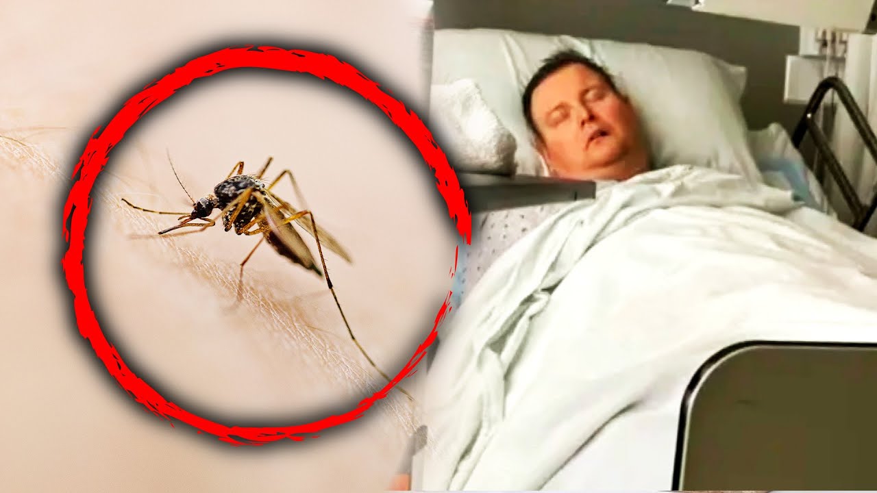 Man Dies After Contracting Triple E Virus From Mosquito