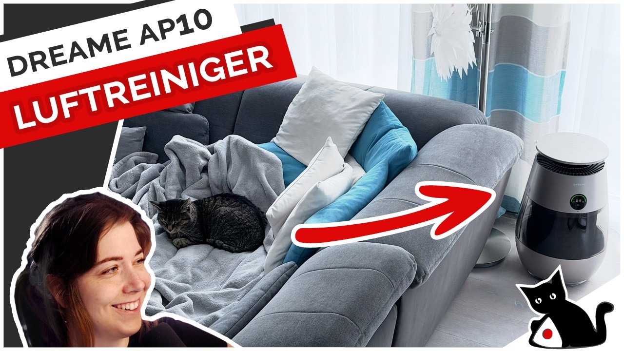 Dreame AP10 &zwnj;Haustier-Luftreiniger im Test