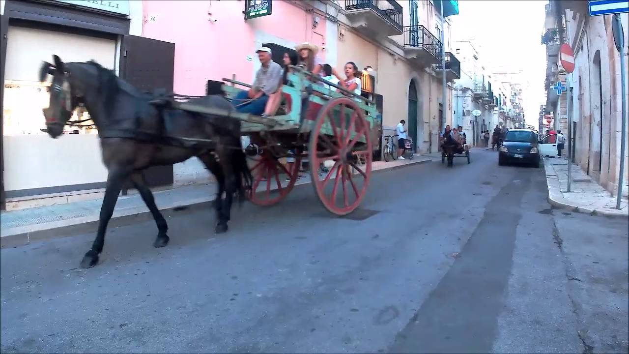Sfilata cavalli e carrozze 2016