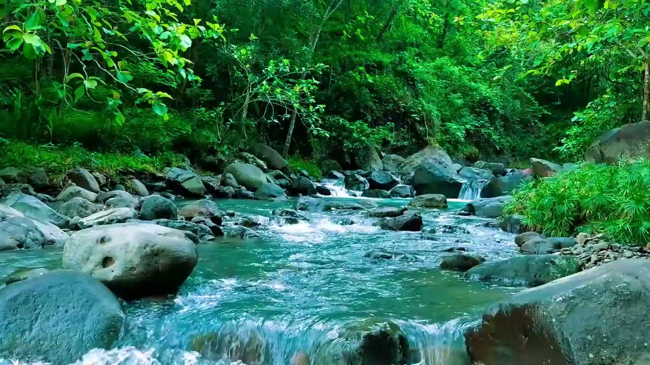beautiful Flowing Stream - Soothing Nature ASMR for Sleep, Focus and Relaxation, ASMR