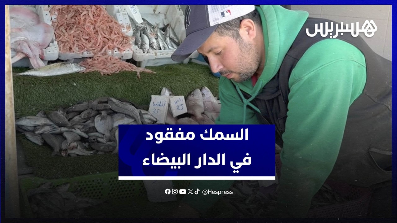 السمك مفقود في الدار البيضاء.. والأسعار تحلق في السماء