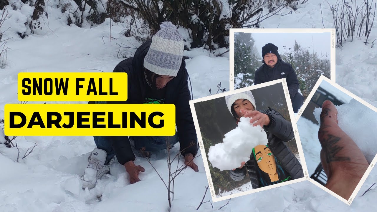 Darjeeling trip in snow || Darjeeling Snowfall ||Darjeeling today||