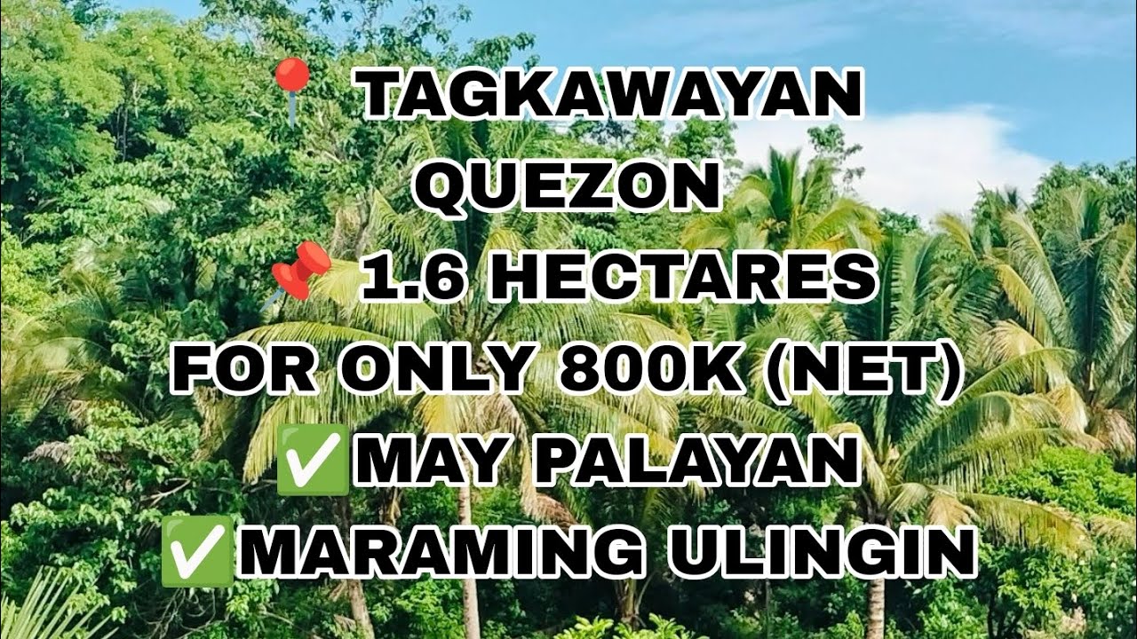Vlog- 46📍 TAGKAWAYAN QUEZON/FARM LOT.‼️ SULIT SA PROPERTY NA ITO‼️.Please read the description below