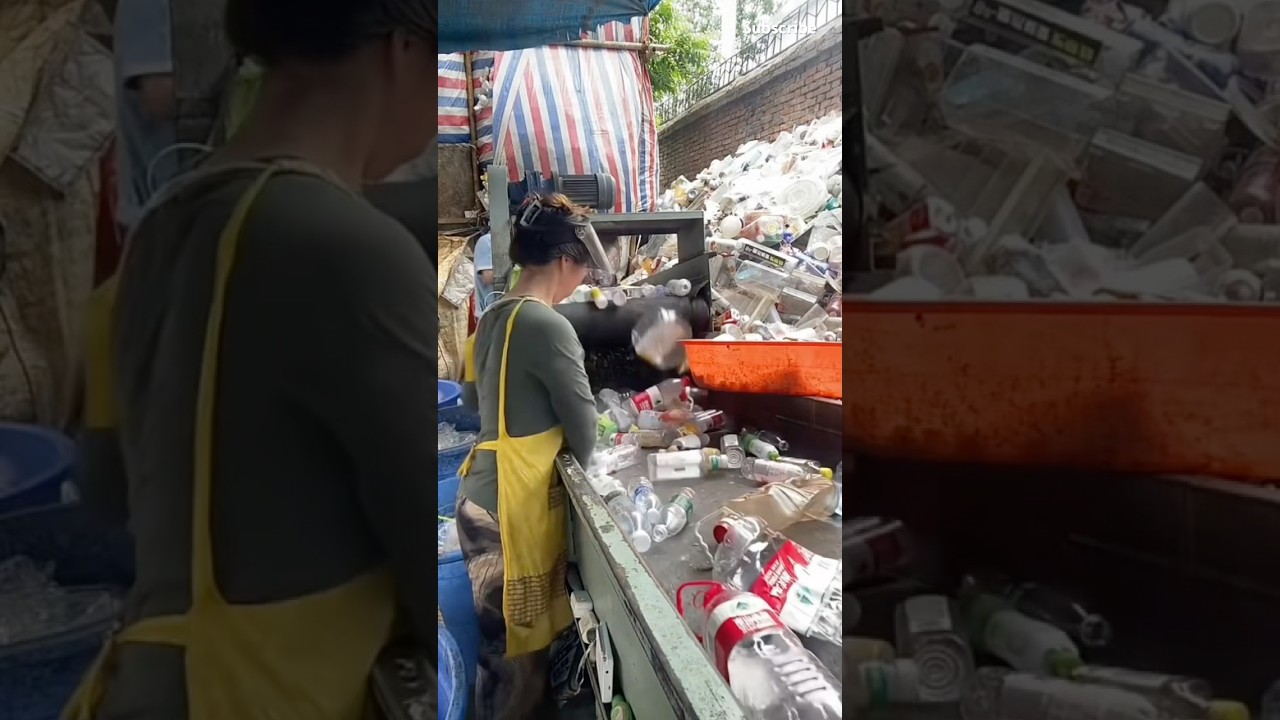Manual sorting: one step of recycling Waste PET bottles #machine #recycling #plastic