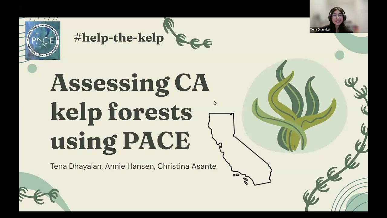 Assessing California kelp forests using PACE