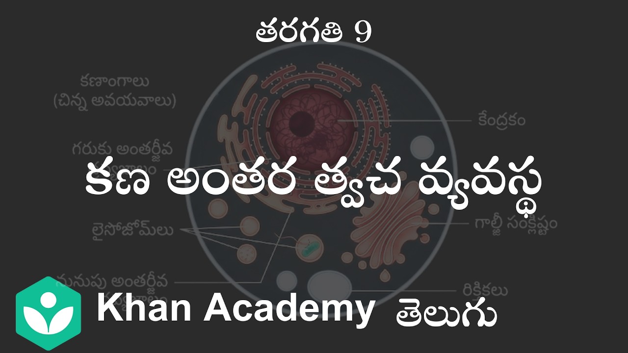 Endomembrane System[Teliugu] | Cell structure and function | Class 9| Science | Khan Academy