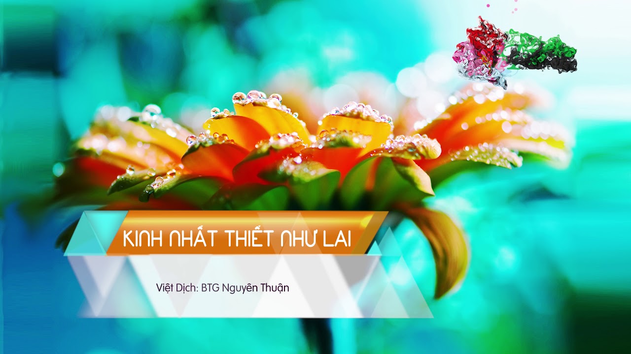 Kinh Nhất Thiết Như Lai Tâm Bí Mật Toàn Thân Xá Lợi Bảo Khiếp Ấn Đà La Ni