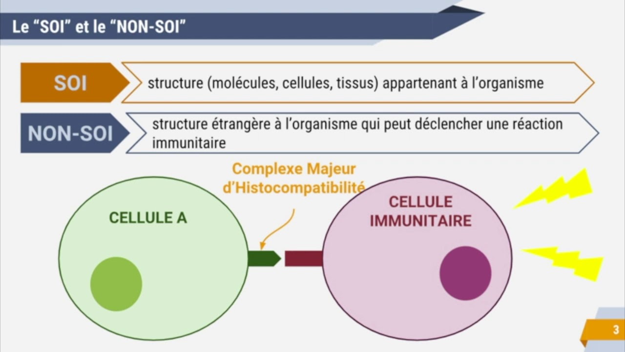 SOI & NON-SOI
