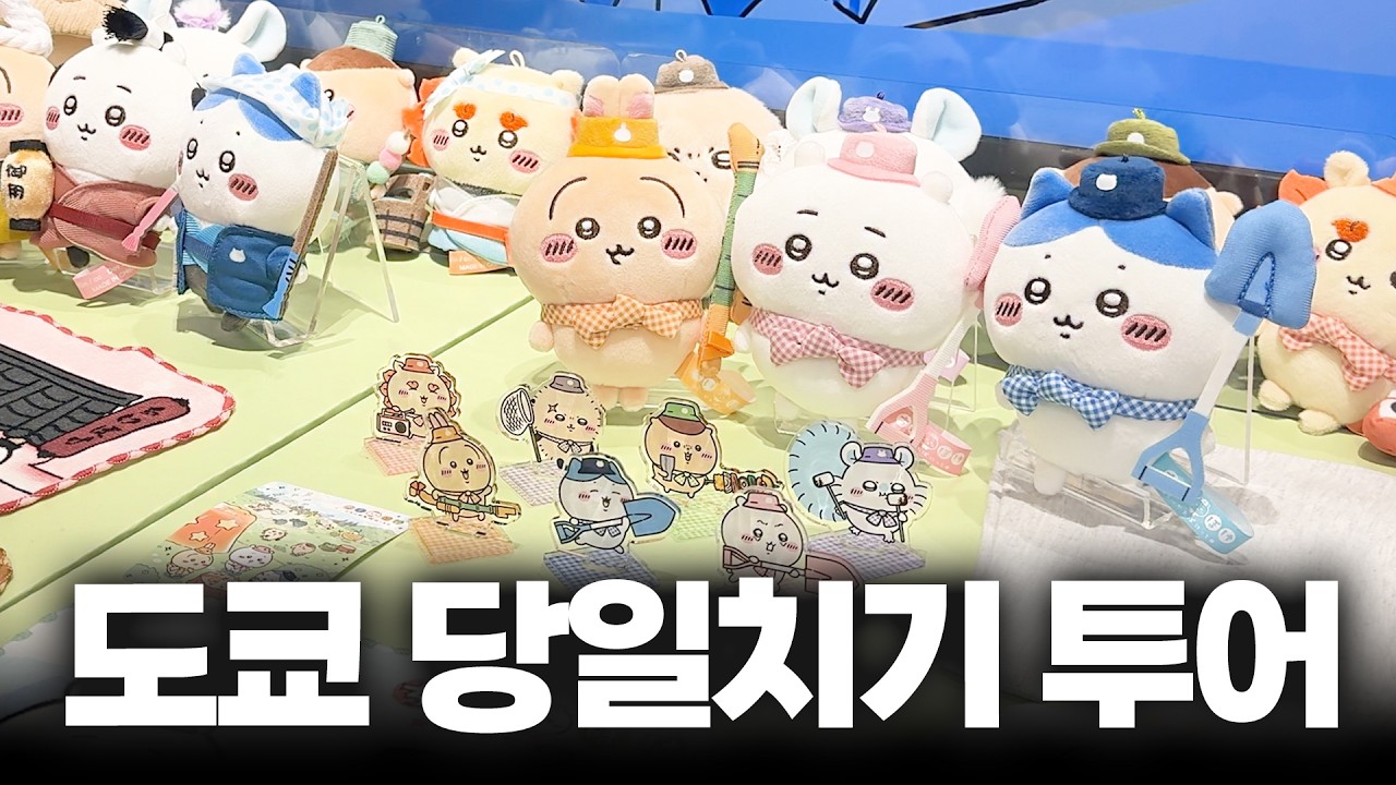 체류시간 8시간? 가성비 박살난 도쿄 당일치기 쇼핑;;; | 도쿄 치이카와 토벌 여행