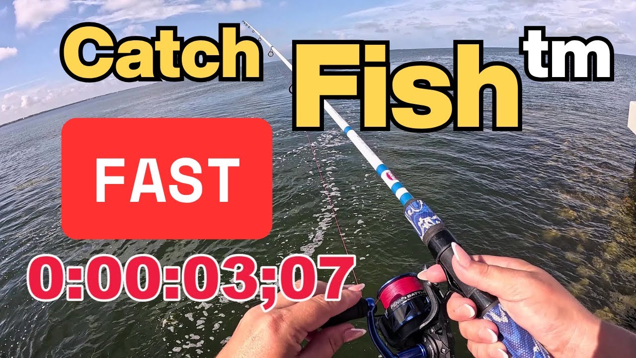 This Bait Is UNFAIR – Catching Fish Fast from the Ocean Bridge