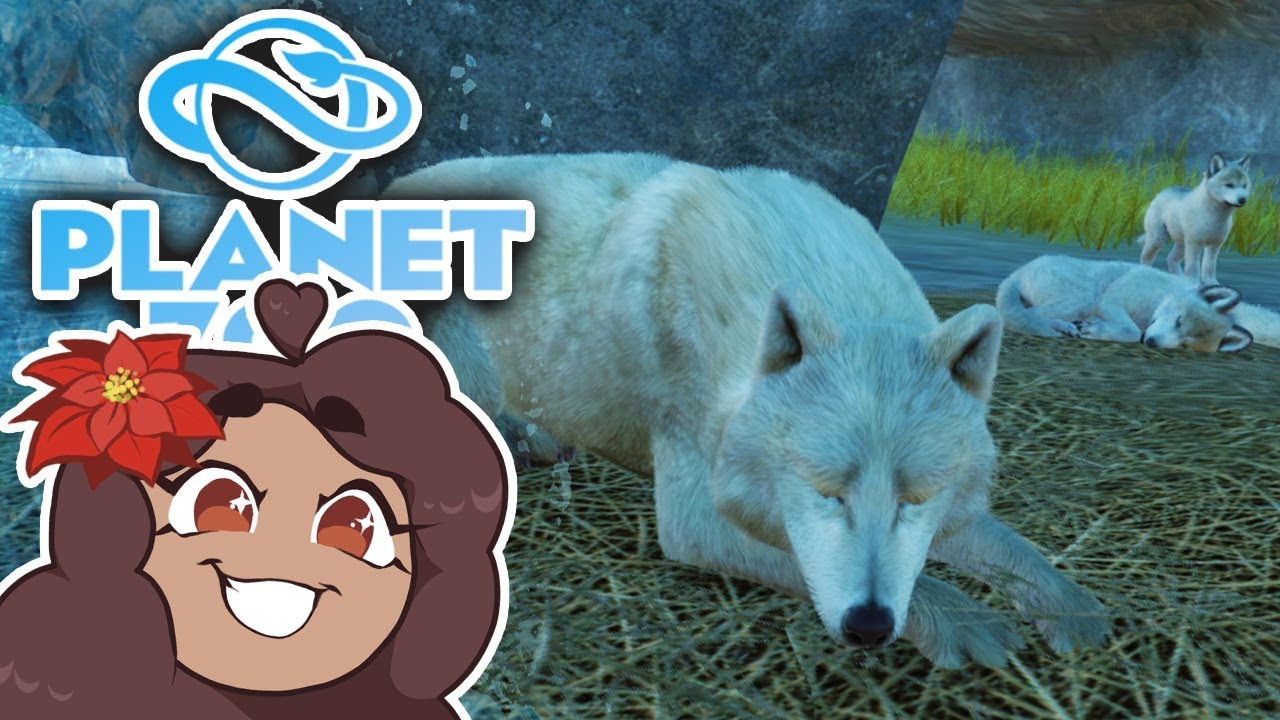 Формируется новая зимняя волчья стая! 🐏 ​​Planet Zoo: Ice Ice Outpost • #14
