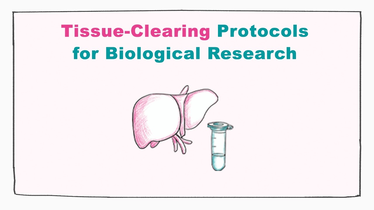Tissue-clearing Protocols for Diverse Organisms, Sample Types, and Applications