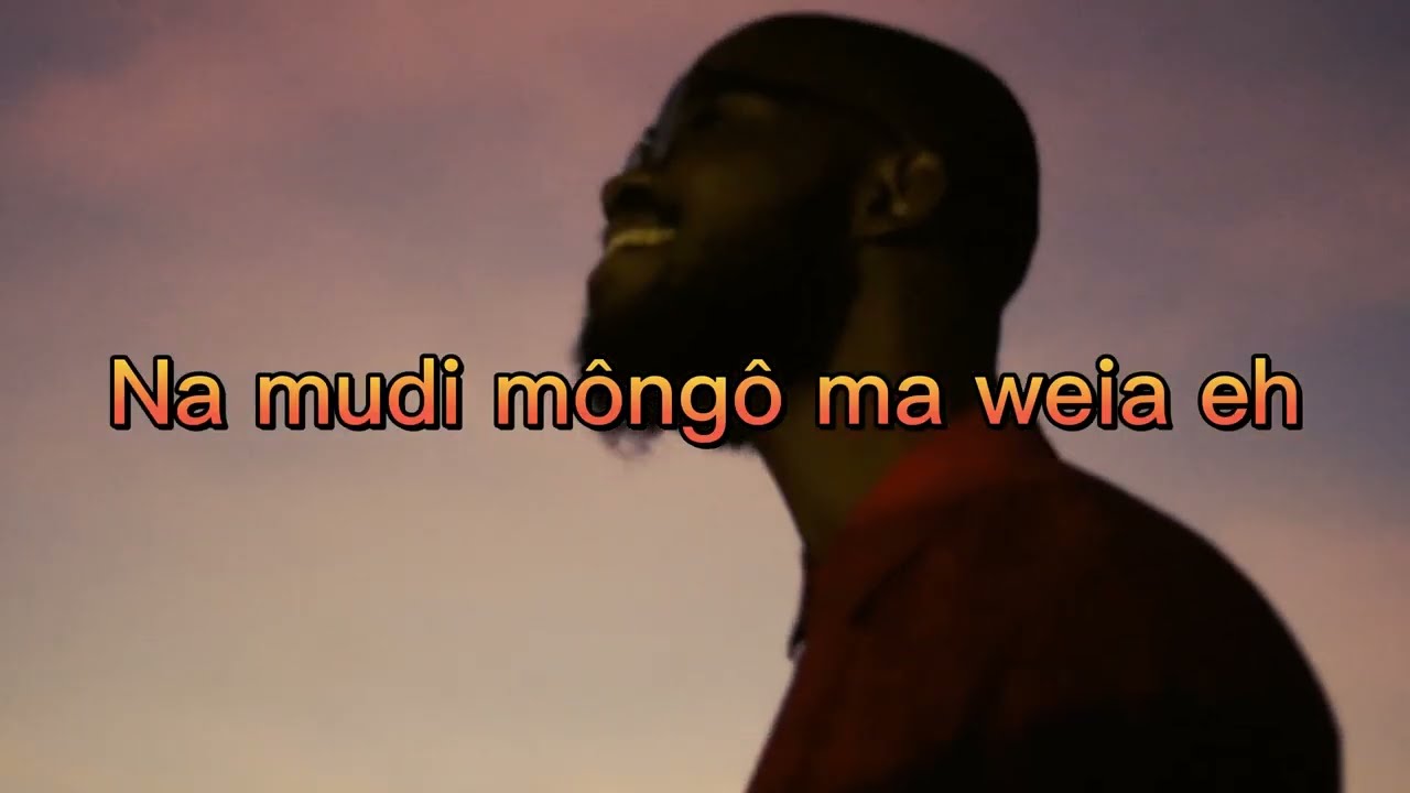 LUDOVIC - FAYA (feat NDABEZINHLE) (Lyrics Video)