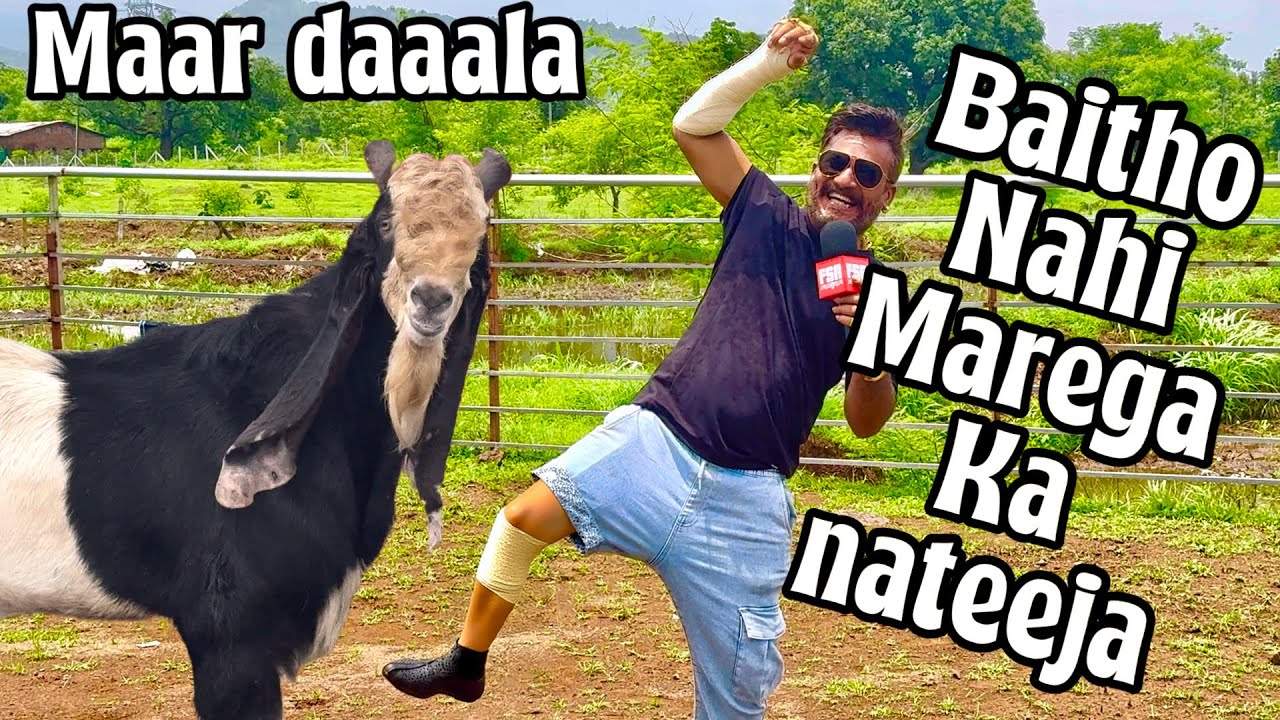 ZSR Ke Bakre Ka Mohammad Bhai Par Hamla at MD Goat Farm