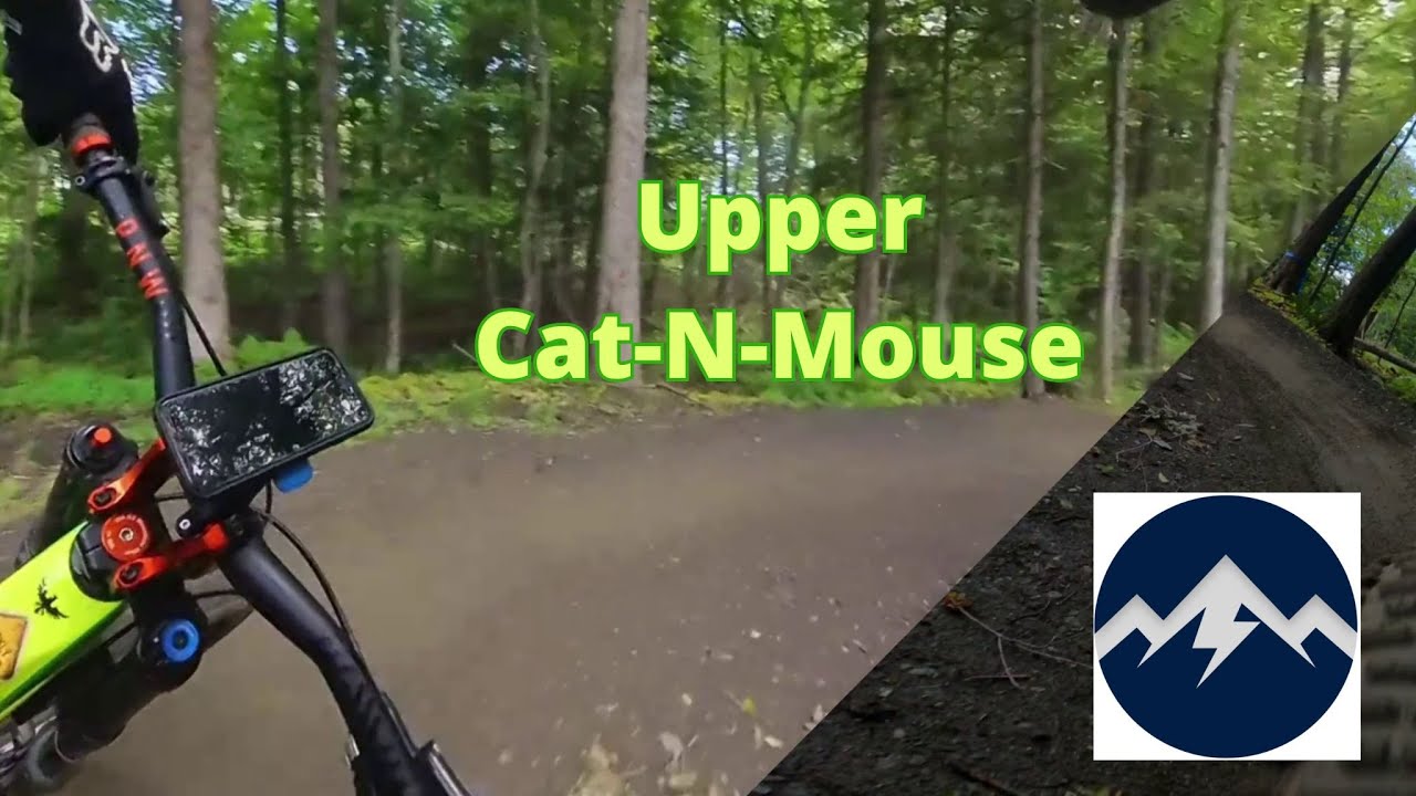 Upper Cat & Mouse
