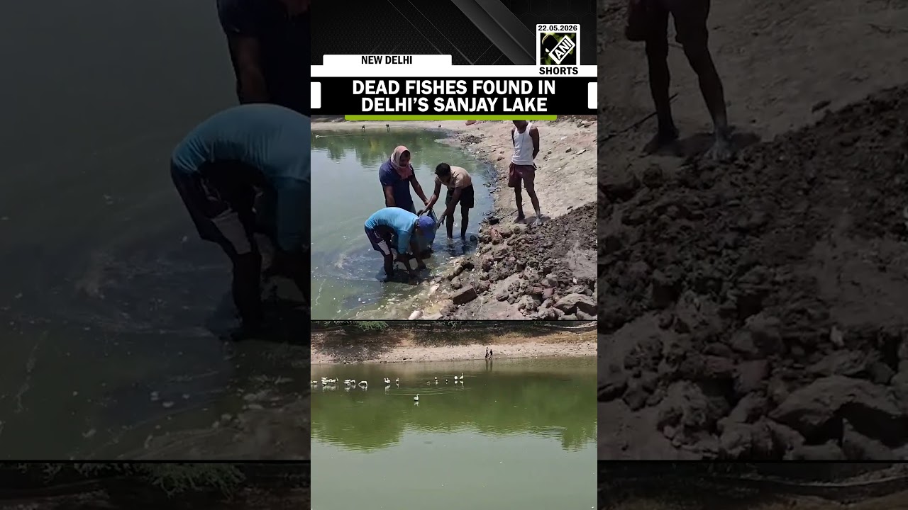Large number of dead fishes found in Delhi&rsquo;s Sanjay Lake, removed from lake to bury into pits