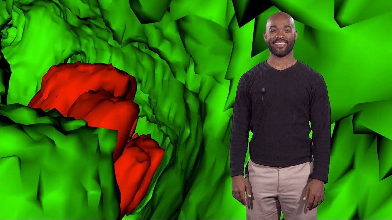 Tyler Allen (NC State U.): How Circulating Stem Cells Exit Blood Vessels