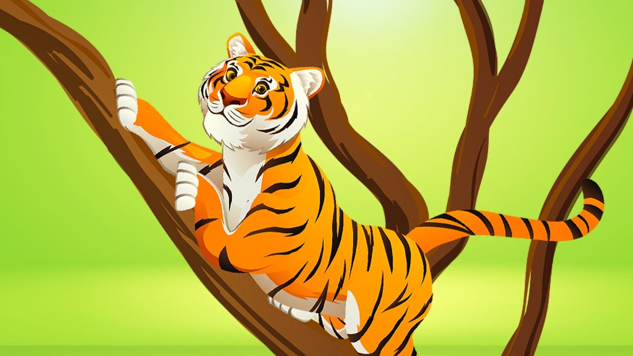 Hayvan Sesleri 5. B&ouml;l&uuml;m🐅🦘🐊🐦Kaplan - Kanguru - Timsah - B&uuml;lb&uuml;l