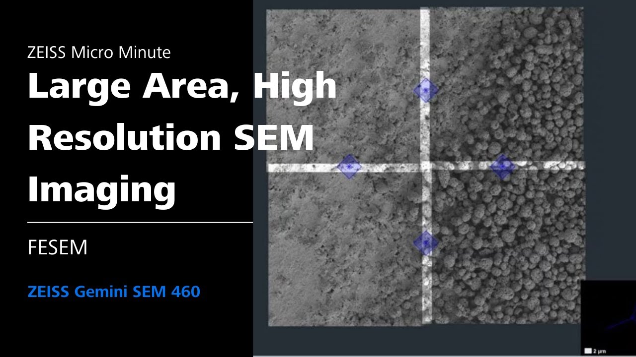 Large Area, High Resolution SEM Imaging | FESEM |&nbsp;ZMCC Live Demo |&nbsp;Episode 9