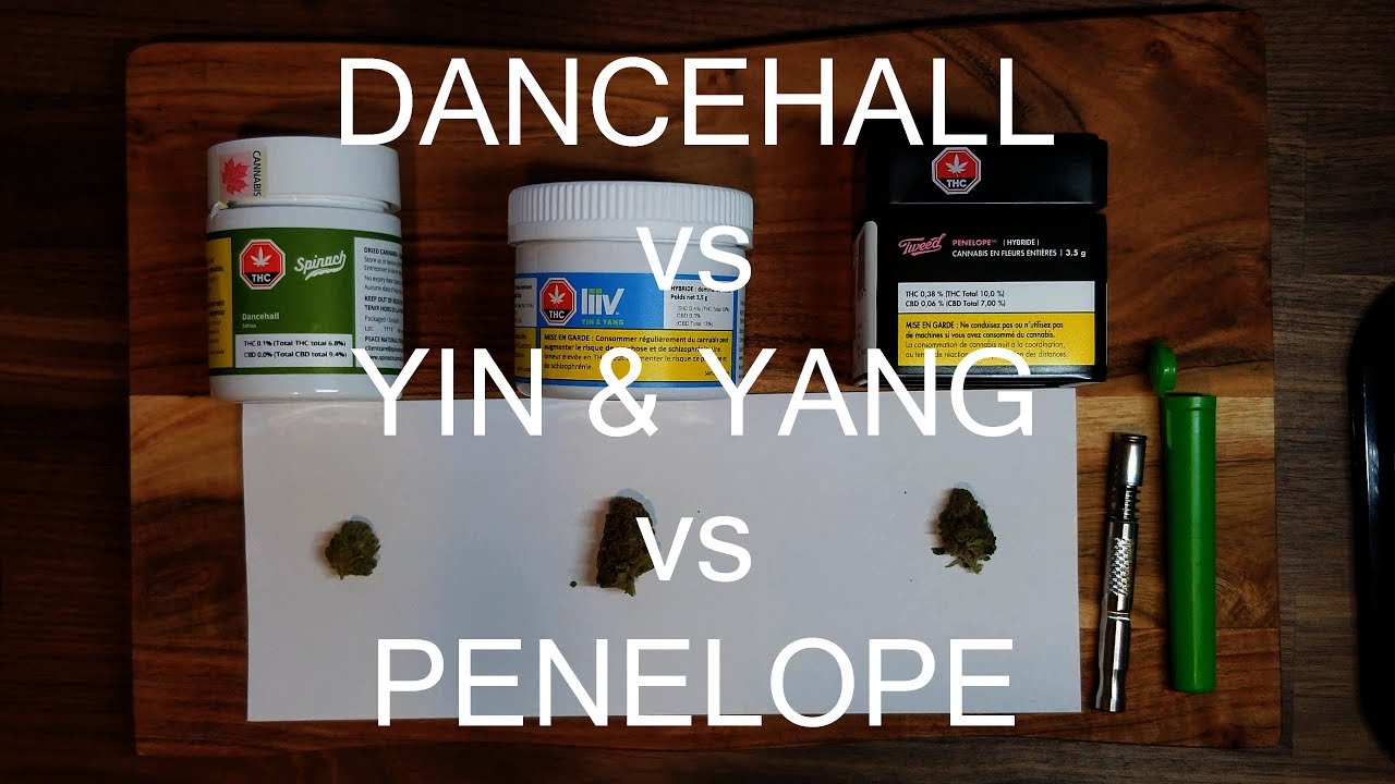 Cannabis CBD THC Strain Review Dancehall by Spinach, Yin & Yang by Liiv, Penelope by Tweed