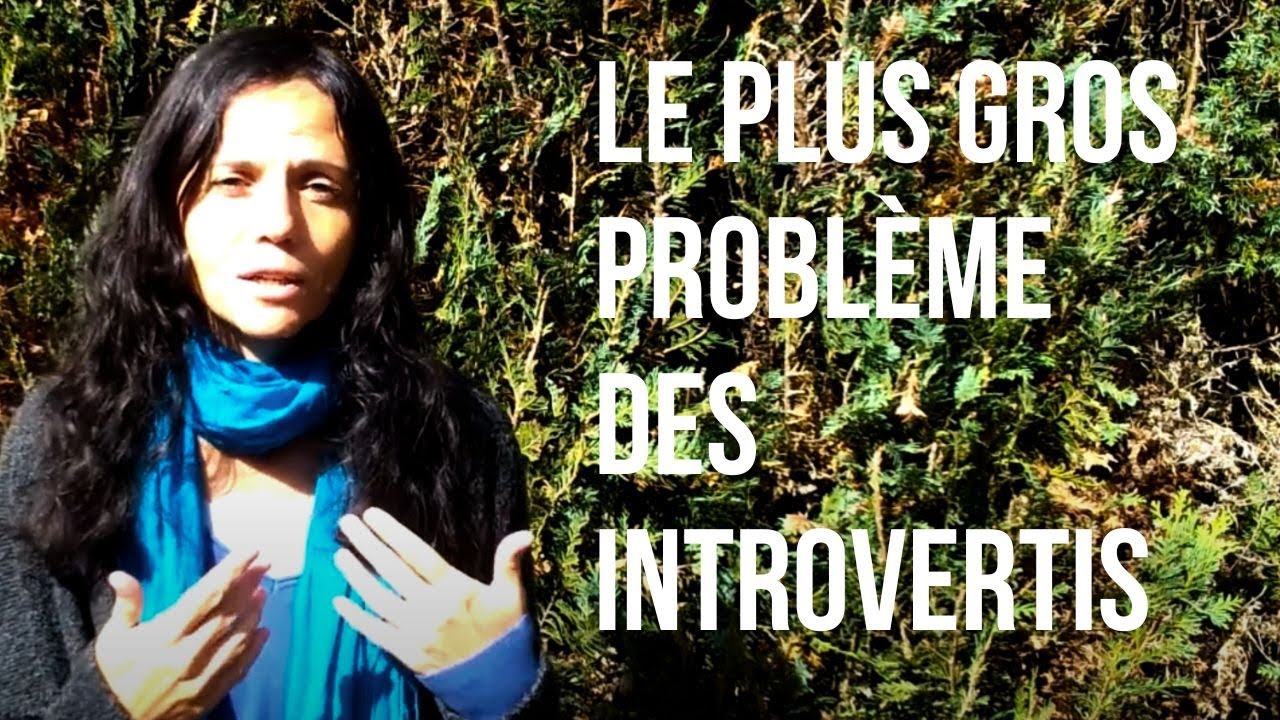 Quel est le plus gros problème des introvertis ?