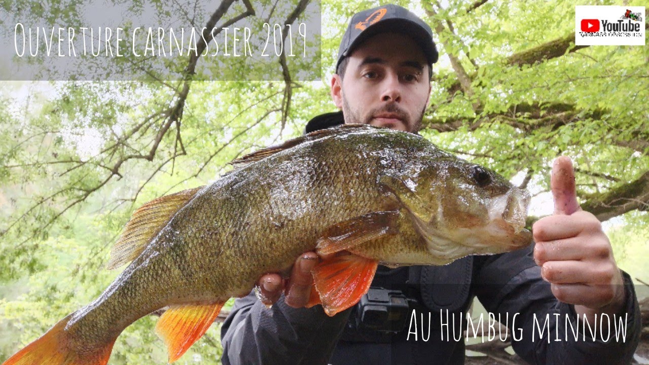 🎥Ouverture pêche 2019🎥
HUMBUG MINNOW!