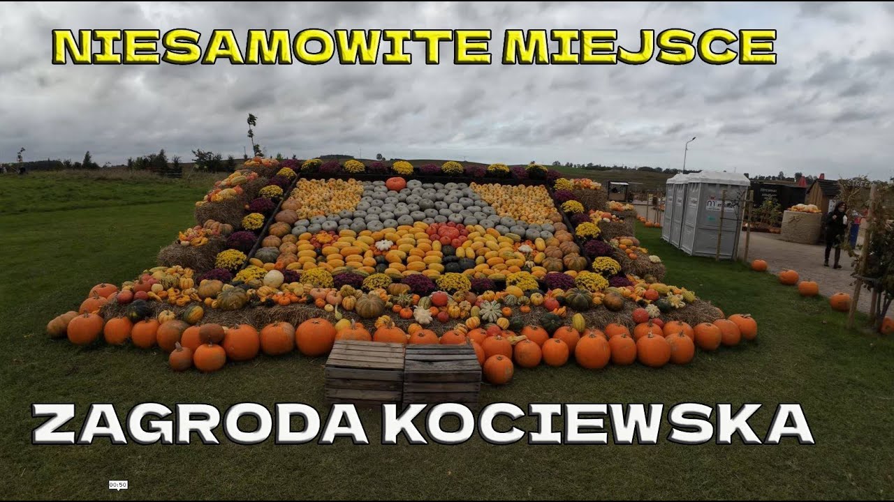 Park Zagroda Kociewska -NIESAMOWITE MIEJSCE!!! 😱🎃#amazing #pumpkin #dynia #travel