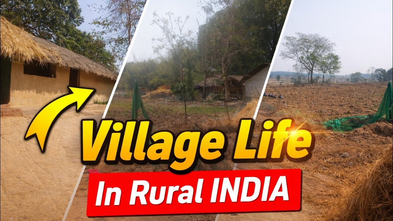 Village Life In Rural India l Pure Village video l